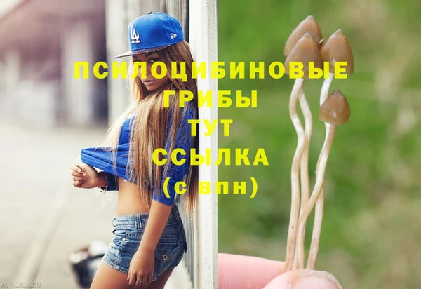 прущий лед Арсеньев
